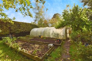 Photo 12- click for photo gallery